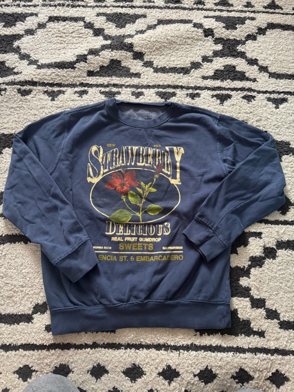 Urban Outfitters Navy Crewneck Sweatshirt with Strawberry Graphic